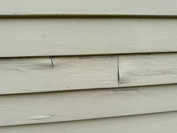 Best Insulated Siding Installation  in Grayson, GA